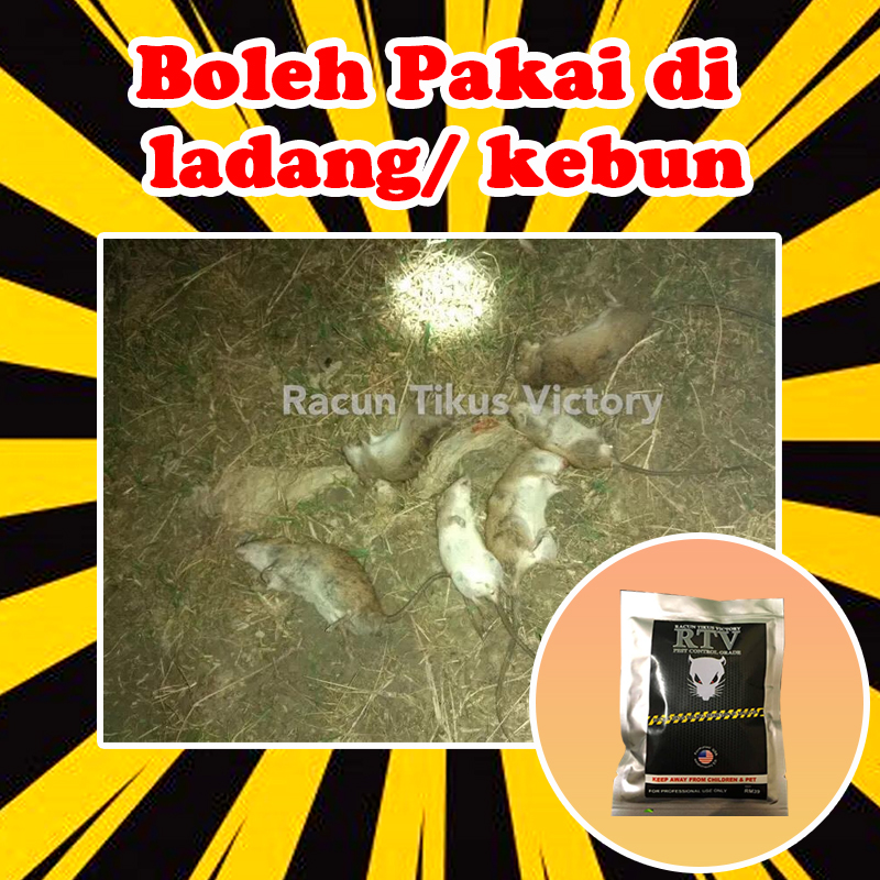 cover5